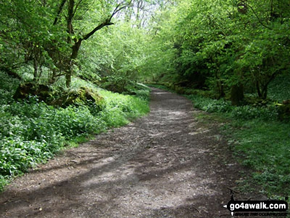 The West Mendip Way through Black Rock Nature Reserve 