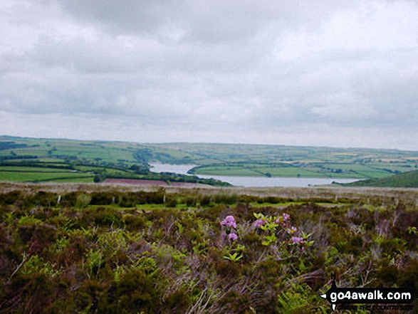 Walk so106 Haddon Hill and Wimbleball Lake from Bury - Wimbleball Lake from Hadborough