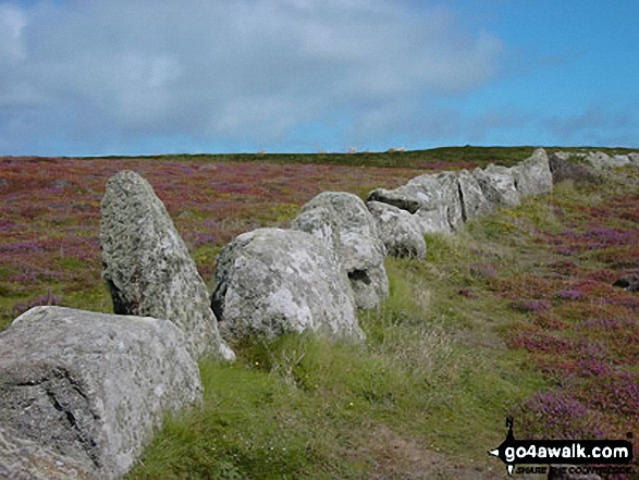 Walk co118 Fire Beacon Point and Grower Rock from Boscastle - Unusual stone wall seen from The South West Coast Path near Land's End