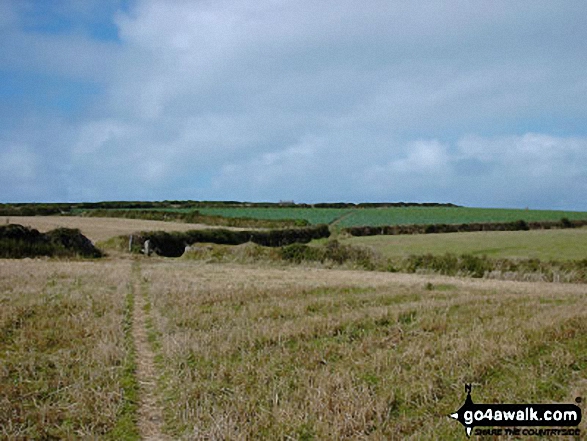 Walk co114 St Michael's Mount from Perranuthnoe - Heading for Trevilley, Land's End