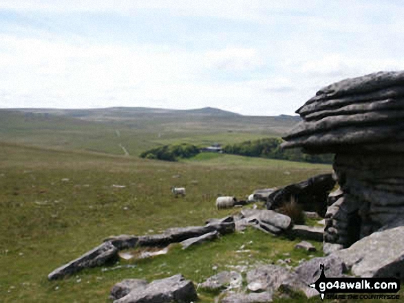 Walk de117 Steeperton Tor from Belstone - Higher Tor