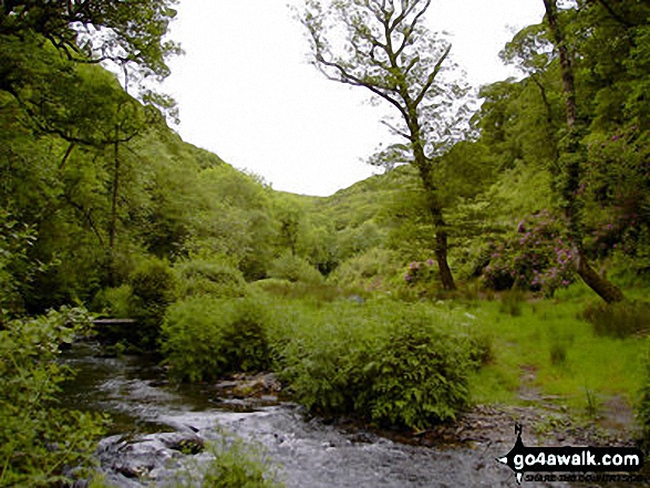 Walk so106 Haddon Hill and Wimbleball Lake from Bury - River Haddeo