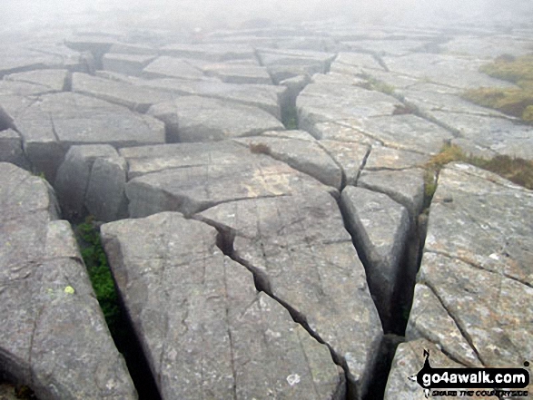 Gritstone 'pavement' on Moel Ysgyfarnogod 