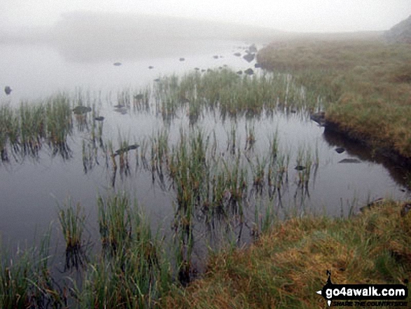 Llyn Dywarchen on Moel Ysgyfarnogod in mist 