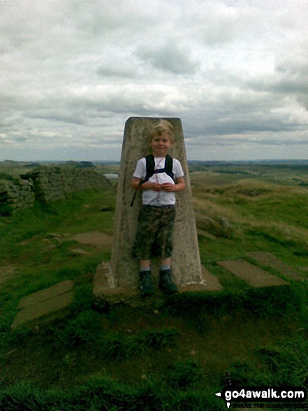 Walk n100 Hadrian's Wall and Vindolanda from Housesteads - Winshields, Hadrian's Wall