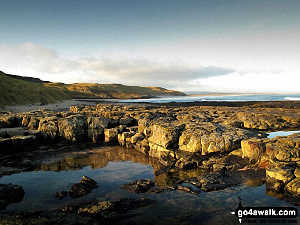 Budle Point from Harkess Rocks