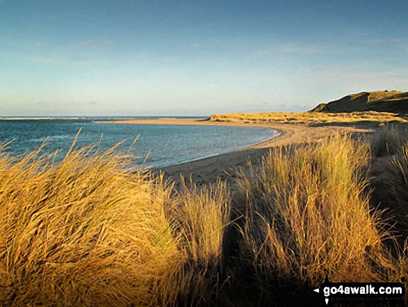 Walk n127 Budle Point from Bamburgh - Budle Point from Heather Cottages