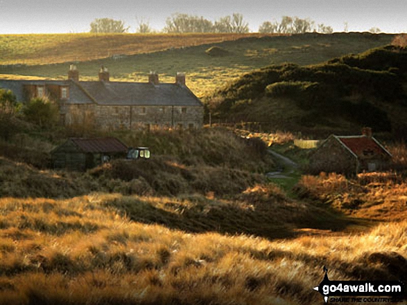 Walk n127 Budle Point from Bamburgh - Heather Cottages