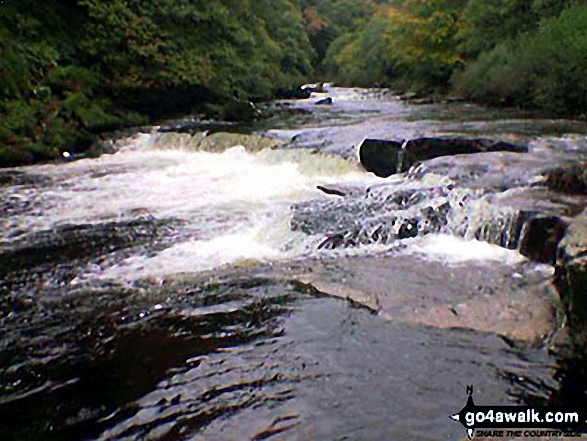 Walk de202 Bellever Tor and Laughter Tor from Postbridge - The Dart River