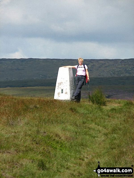 West End Moor Trig Point 