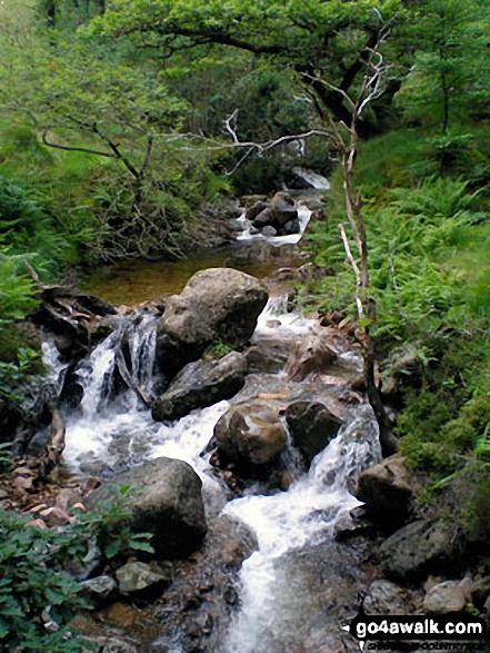 Walk c267 Haycock, Iron Crag, Lank Rigg and Grike from Ennerdale Water - Silver Cove Beck