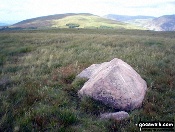 Walk c403 Lank Rigg and Whoap from Friar Well - Whoap summit boulder with Lank Rigg beyond