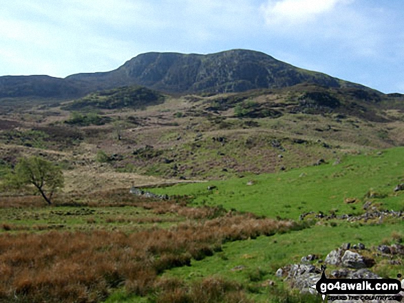 Walk gw138 Arenig Fawr (Moel Yr Eglwys) via Llyn Arenig Fawr from Pont Rhyd-y-Fen - Arenig Fawr from Llyn Celyn near Pant-yr-Hedydd