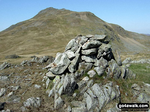 Walk Arenig Fawr (South Ridge Top) walking UK Mountains in The Arenigs Area Snowdonia National Park Gwynedd, Wales