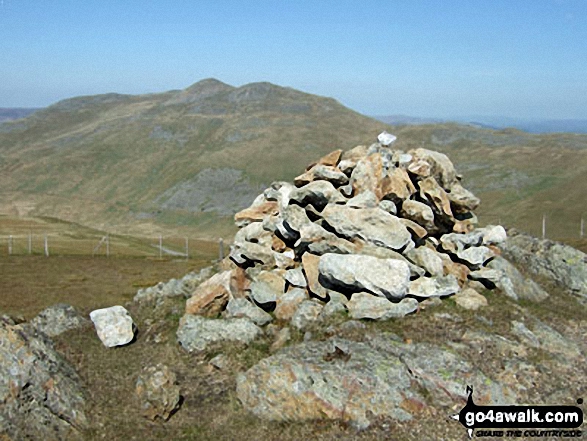 Moel Llyfnant Photo by Steven Nash