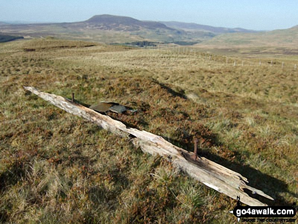 Walk gw133 Arenig Fawr (Moel Yr Eglwys), Moel Llyfnant and Gallt yDaren via the NW Ridge  from Pont Rhyd-y-Fen - Moel y Slates summit