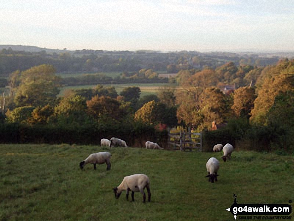 Heading down The South Downs Way to Alfriston at dusk 