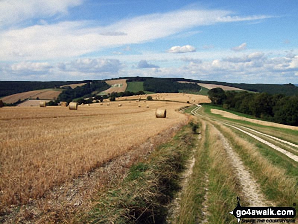 Didling Hill from Linch Bell on The South Downs Way between Cocking and East Meon 