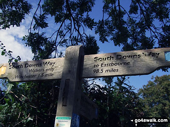 On the South Downs Way near Chilcomb 