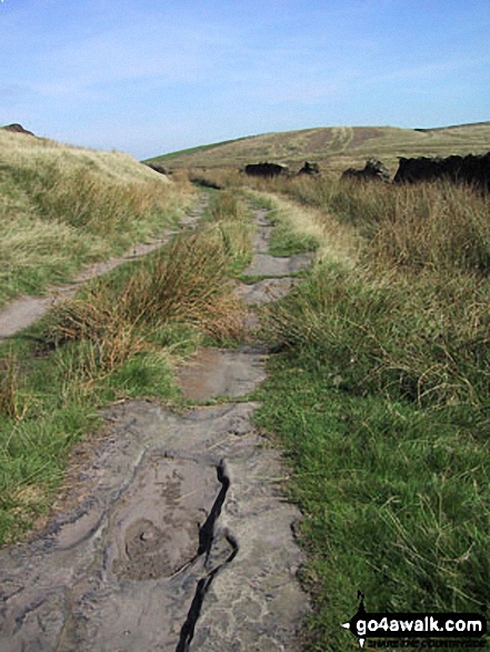 Walk l134 Hail Storm Hill from Edenfield - Rossendale Way on Cowpe Lowe