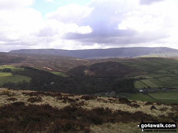 Kinder from Lantern Pike