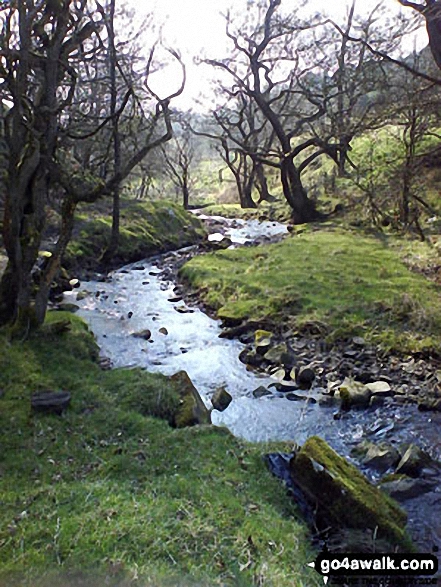 Walk l109 Gorple Stones and Extwistle Moor from Worsthorne - Swinden Water