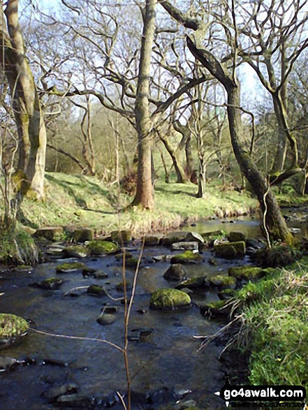 Walk l109 Gorple Stones and Extwistle Moor from Worsthorne - Swinden Water