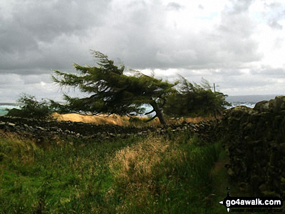 En-route to Weets Hill from Barnoldswick