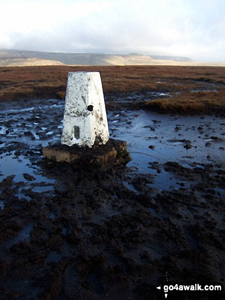 Walk d254 Brown Knoll (Edale), South Head (Hayfield) and Mount Famine from Bowden Bridge, Hayfield - Brown Knoll (Edale) summit trig point