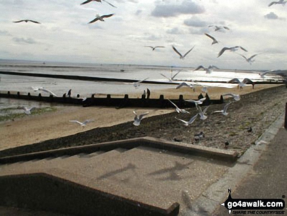 The Sea at Southend on Sea 