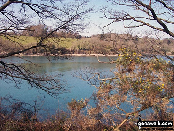 This is the beautiful view from a small hill at The Lost Gardens of Heligan . . . a lovely walk and a full family outing!!