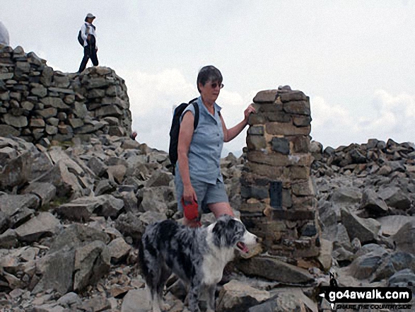 Walk c172 Scafell Pike via The Corridor Route from Wasdale Head, Wast Water - On the top of Scafell Pike with Mac the Dog