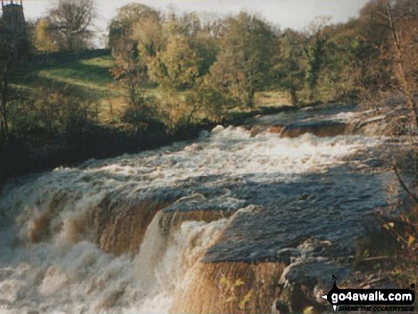 Aysgarth Falls in spate 