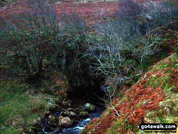 Walk n146 Wooler Common and Happy Valley (Low Level Route) from Wooler - Harthope Burn, The Cheviot