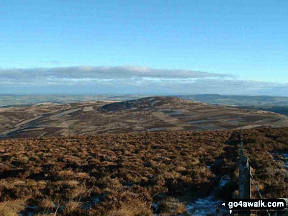 Walk n111 The Cheviot and Cold Law from Harthope Burn Valley - Cold Law from Broadhope Hill