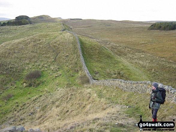 Walk n142 Hadrian's Wall from Cawfield Quarry to Steel Rigg - On the Hadrian's Wall walk