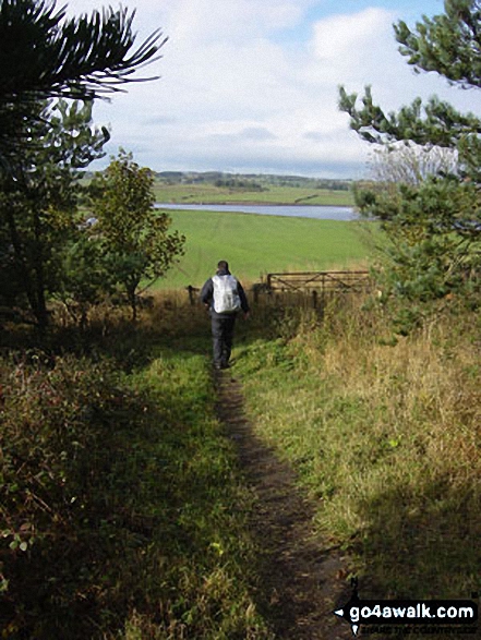 Walk n142 Hadrian's Wall from Cawfield Quarry to Steel Rigg - Walking Hadrian's Wall