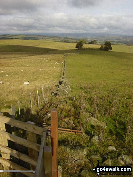 Walk n100 Hadrian's Wall and Vindolanda from Housesteads - The view from Hadrian's Wall