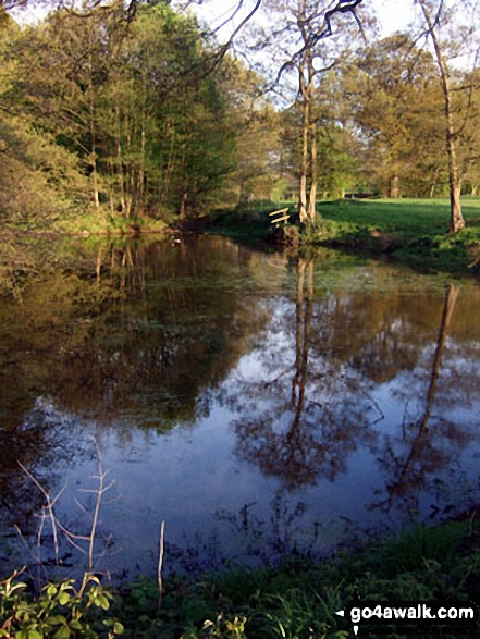 Walk ch133 Goostrey, The Bongs, Boots Green and Peover Hall from Over Peover - Lake in the grounds of Peover Hall