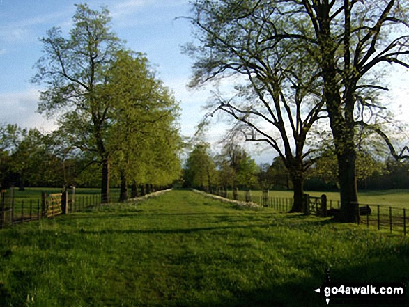 Walk ch133 Goostrey, The Bongs, Boots Green and Peover Hall from Over Peover - In the grounds of Peover Hall