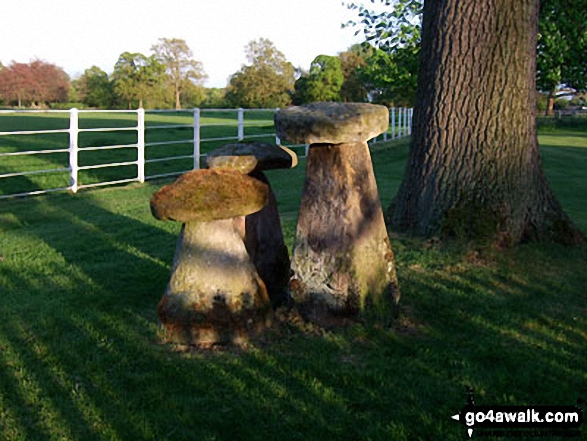 Walk ch133 Goostrey, The Bongs, Boots Green and Peover Hall from Over Peover - Stone 'mushrooms' in the grounds of Peover Hall