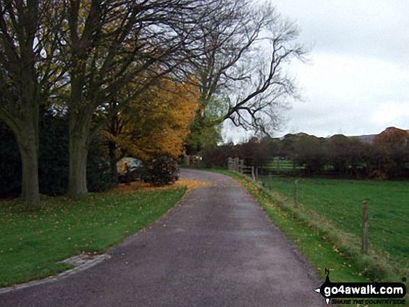 Little Moreton Hall entrance drive in autumn 