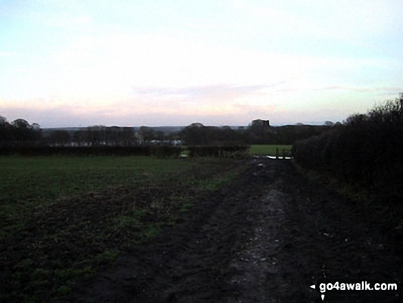 Walk ch121 Rostherne from Hoo Green - Approaching Rostherne Church