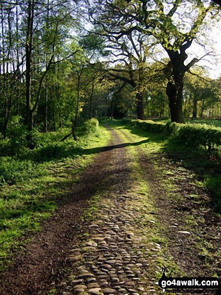 Walk ch133 Goostrey, The Bongs, Boots Green and Peover Hall from Over Peover - Bridle Way through the grounds of Peover Hall