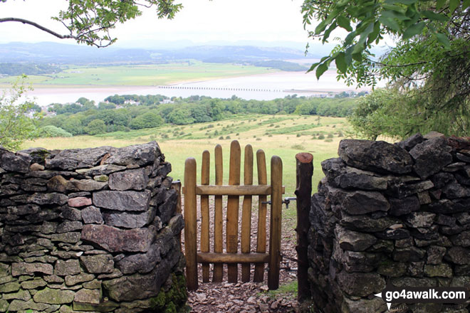 Handgate on Arnside Knott with Kent Viaduct (railway bridge) across Morecambe Bay in the distance 