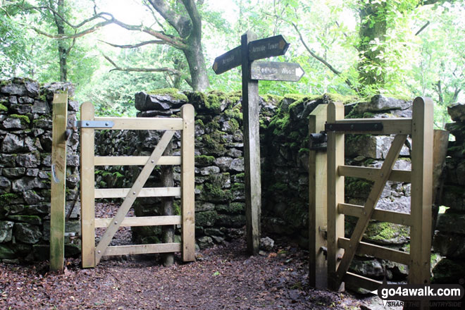 Walk c359 Arnside Knott from Arnside (Morecambe Bay) - Signed path junction on Arnside Knott