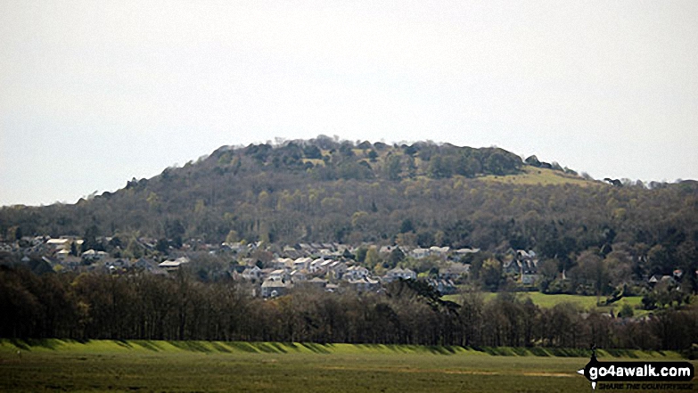 Walk c359 Arnside Knott from Arnside (Morecambe Bay) - Arnside Knott