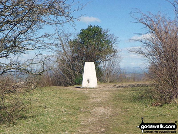 Walk c359 Arnside Knott from Arnside (Morecambe Bay) - Arnside Knott summit Trig Point