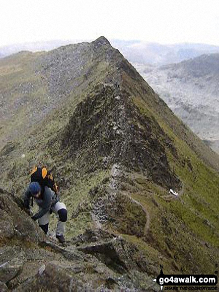 Walk c220 Helvellyn via Striding Edge from Glenridding - Starting the climb from Striding Edge up onto Helvellyn