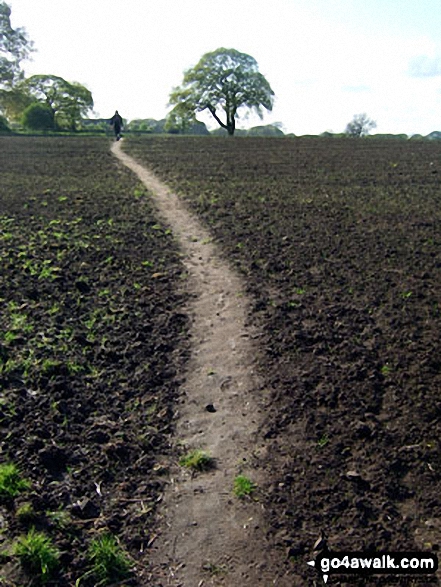 Walk ch133 Goostrey, The Bongs, Boots Green and Peover Hall from Over Peover - Field path to Swanwick Hall Farm, Goostrey